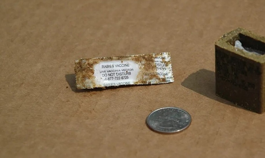 ALERTA DE SALUD: AVIONES Y HELICÓPTEROS LANZAN VACUNAS CONTRA LA RABIA EN ALABAMA